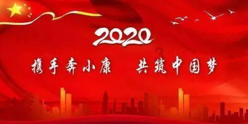 雨后盛放